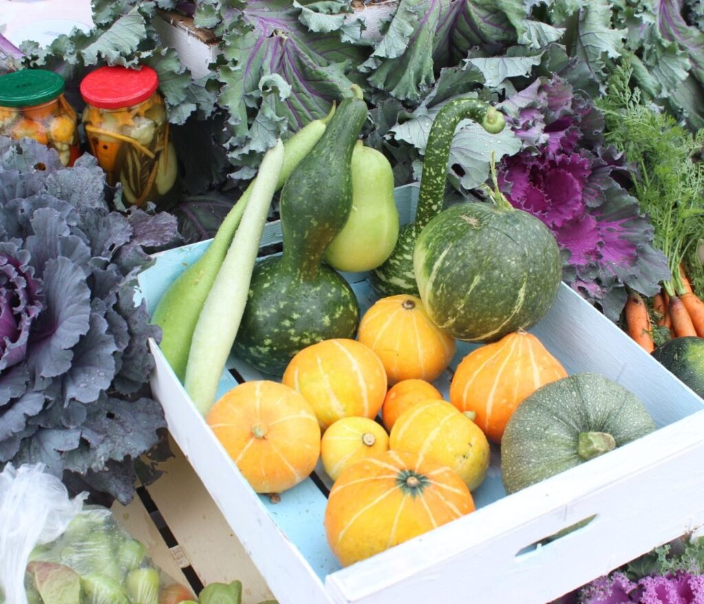 Techniques conservation légumes potager : 7 méthodes